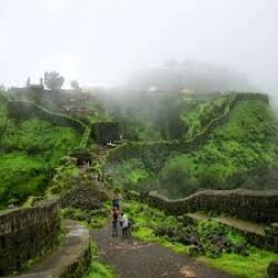 Weekend Trek To Bhimashankar Forest ( 1D )